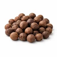 Allspice