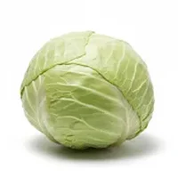 White Cabbage
