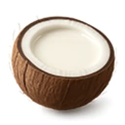 Coconut Milk