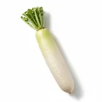 Ravanello / Daikon