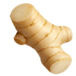 Galangal