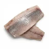 Herring