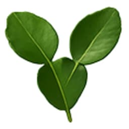 Kaffir Lime Leaves
