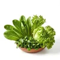 生菜