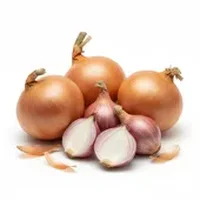 Onion