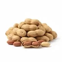 Peanuts
