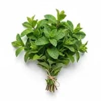 Peppermint