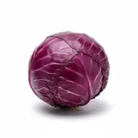 Cavolo Rosso