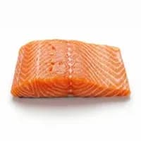 Salmon / Trout