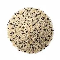 Sesame Seeds