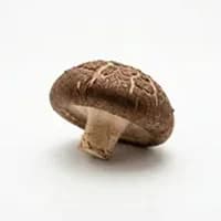 shiitake