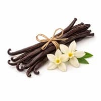 Vanilla