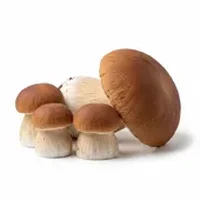 牛肝菌(干)