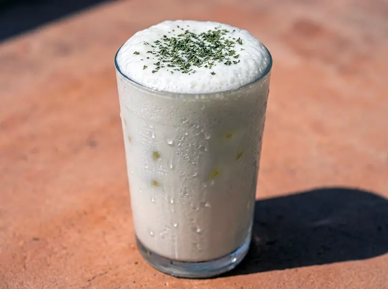 Homemade Ayran (Yogurt Drink) with plain full fat yogurt and cold water — Turkey recipe