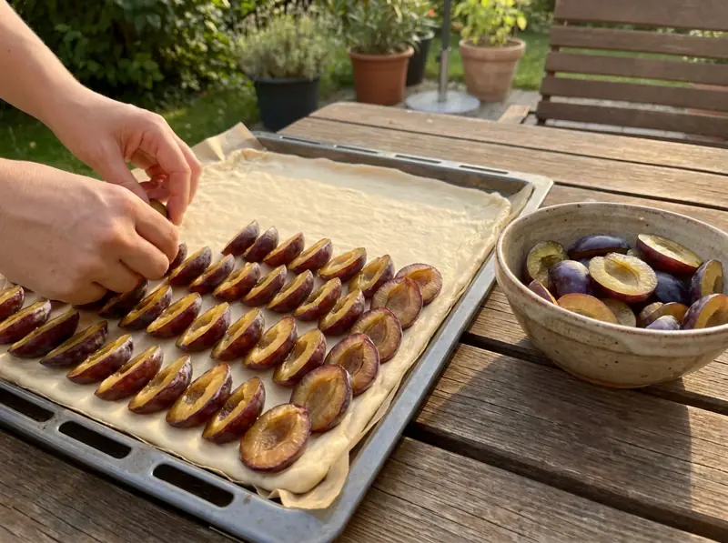 Laying halved Zwetschgen plums skin side down in tight overlapping rows on yeast dough for Datschi