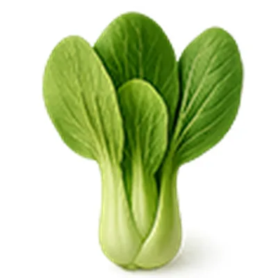 Bok Choy (Pak Choi)