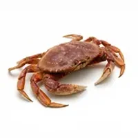 Crab