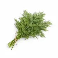 Dill