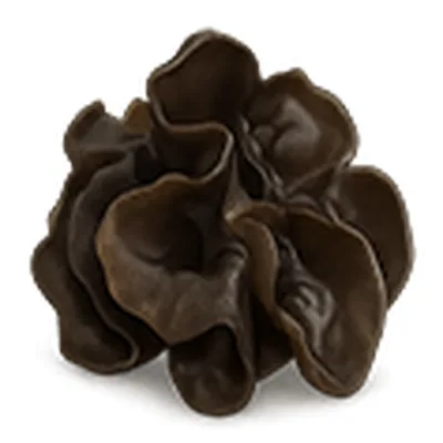 Wood Ear Mushrooms