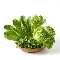 Lettuce