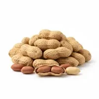 Peanuts