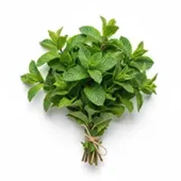 Peppermint
