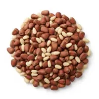 Pine Nuts