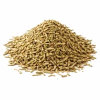 Rosemary