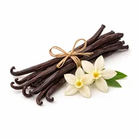 Vanilla